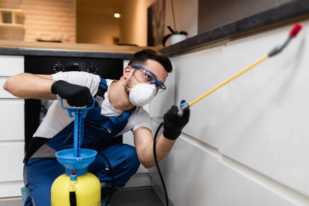 Best Wildlife Control Services  in Ohatchee, AL