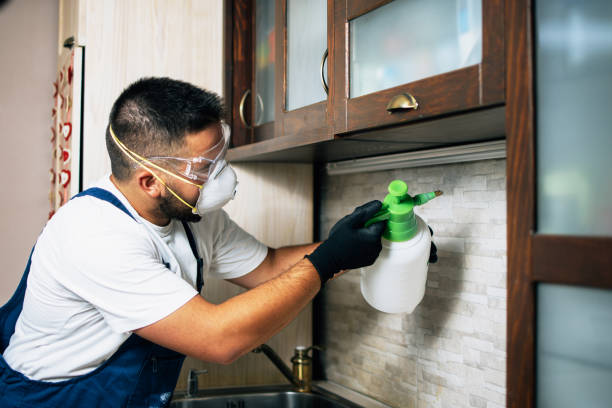 Best Pest Removal Services  in Ohatchee, AL