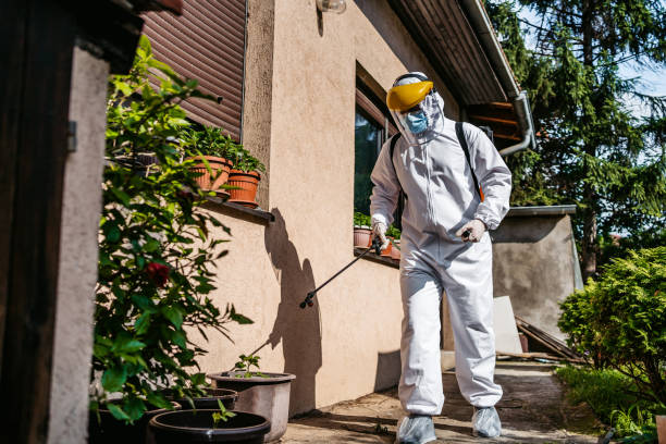 Best Pest Inspection Near Me  in Ohatchee, AL