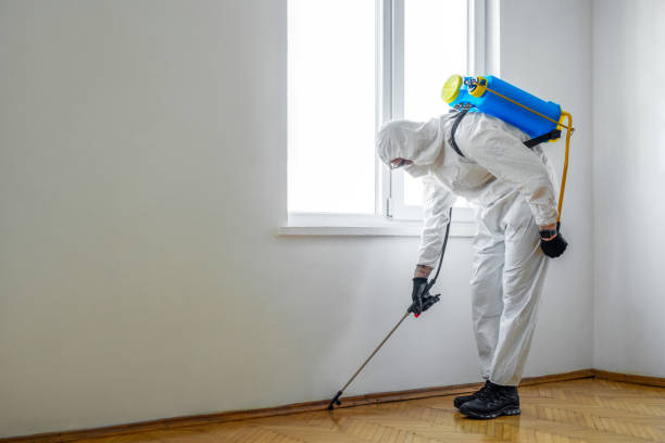 Best Pest Prevention Services  in Ohatchee, AL