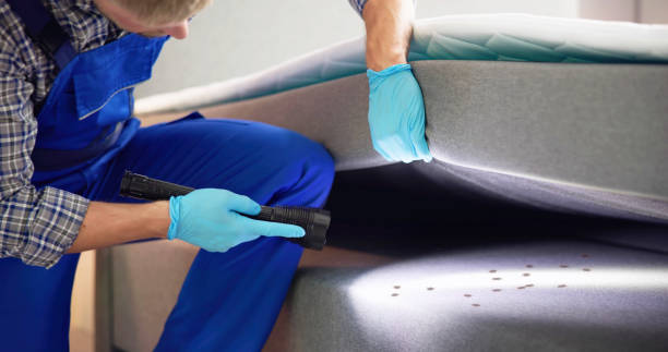 Best Residential Pest Control  in Ohatchee, AL