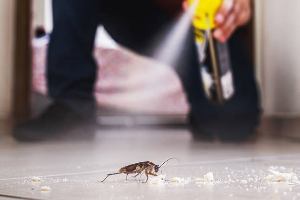 Ohatchee, AL Pest Control Company