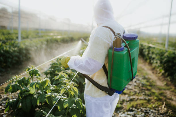 Best Wildlife Control Services  in Ohatchee, AL